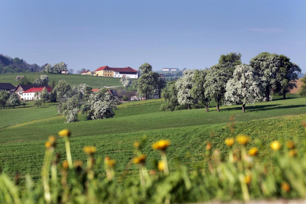 Gasthof Zur Linde Hotel Neuhofen an der Ybbs Ngoại thất bức ảnh